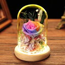 プリザーブドフラワー 枯れない花 ガラスドーム 薔薇 ドライフラワー バラ フラワーギフト ギフトボックス 永遠の花 LEDライト付き