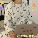 パジャマ ルームウェア もこもこ 上下セット モコモコ ルームウエア レディース 可愛い 長袖 部屋着 ふわもこ 大きいサイズ 冬 部屋着 送料無料 寝間着 ふ...