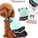 【メール便可】春秋 犬服 キラキラおりぼんワンピ(XS・S・M・L・2L・3L・MD-S・MD-M) 【ドッグウェア】Air Balloon(エアバルーン)