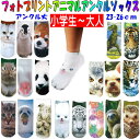 【メール便可】フォトプリントアニマルアンクルソックス 23-26cm 全16柄【楽ギフ_包装選択】