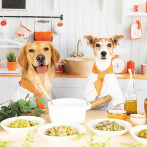 犬ごはん おじや 無添加 手作り食 給食 ドッグフード 犬 犬 ドッグフード アレルギー 犬 犬 無添加 えさ 国産 犬 ご飯 シニア 餌 肉 シニア ペットフード 手作り食 手作り 犬 ごはん 給食 一ヶ月ハーフセット 1日2食30個 3kg用 手作り犬ごはんm Dogstudio 犬ごはん おじや 無添加 手作り食 給食 ドッグフード 犬 犬 ドッグフード アレルギー 犬 犬 無添加 えさ 国産 犬 ご飯 シニア 餌 肉 シニア ペットフード 手作り食 手作り 犬 ごはん 給食 一ヶ月ハーフセット 1日2食30個 3kg用 手作り犬ごはんm Dogstudio