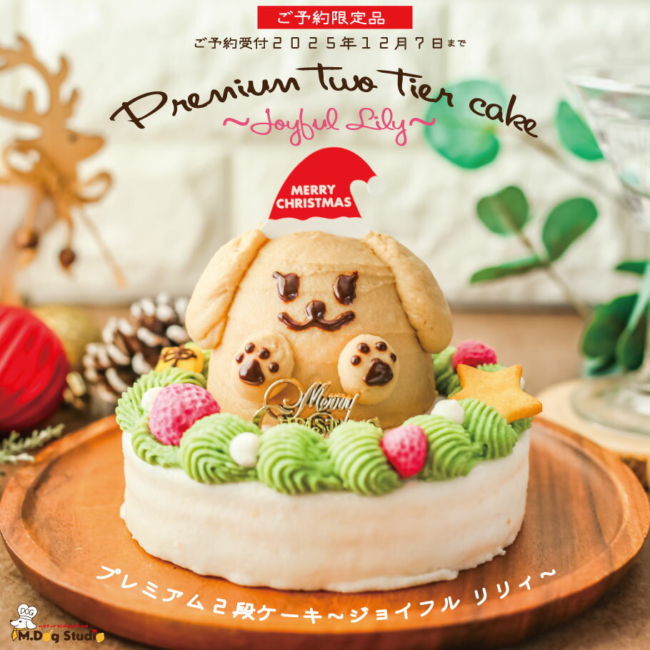 【ご予約限定品】プレミアム2段ケーキ～ジョイフルリリィ～｜犬 クリスマス 犬用クリスマス 犬用 無添加 国産 犬 おやつ 犬ケーキ 犬用クリスマスケーキ