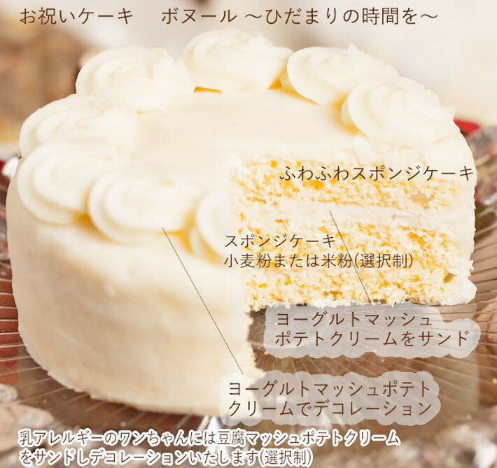 贅沢 犬 誕生日ケーキ 犬用 ケーキ ギフト プレゼント 記念日 ペットフード ペットケーキ ドッグフード 子犬 老犬 お祝いケーキ ボヌールミニサイズ 無添加 アレルギー対応 ６cm Transparencia Crisolita Mg Gov Br