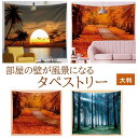 タペストリー 大判 風景画 窓 壁 掛け 大きい 海 山 南国 ビーチ 夏 春 秋 紅葉 森 インテリア 布 アート 飾り だまし 絵 おしゃれ きれい 北欧 ...