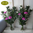 お供え用 菊の花束 1対 生花 ご自宅用 ラッピングなし 大きめ クール便