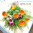 《お楽しみ生花セットA》色、花材指定不可ギフトラッピングなし自宅用/花瓶に/切花/10本以上佐川急便