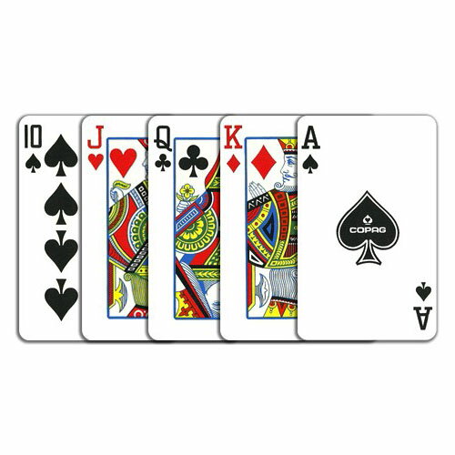 �ڥȥ��סۡڥݡ�������COPAG PLASTIC BRIDGE SIZE Blue/Red�ʥ��ѥå� �֥�å������� �֥롼/��åɡ�