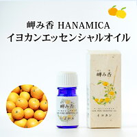 ̨߹HANAMICA襫󥨥å󥷥륪