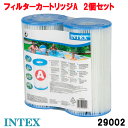 【日本正規品】フィルターカートリッジ 29002 2個セット 交換用 取り換え用 28637専用 インテックス INTEX 29002