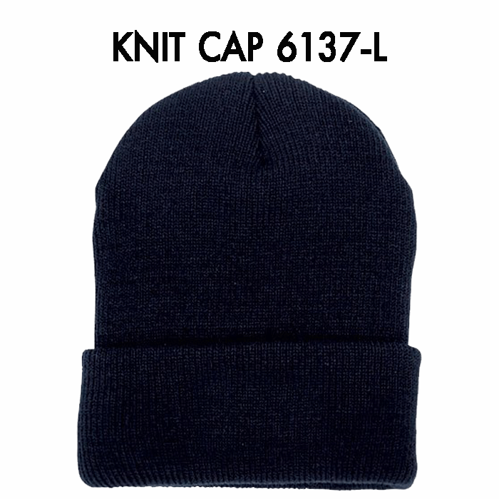 ニット帽 ニットキャップ 帽子 メンズ レディース スキー スノーボード スノボ あったかい 暖かい 男女兼用 6137 送料無料（代引き発送はできません）
