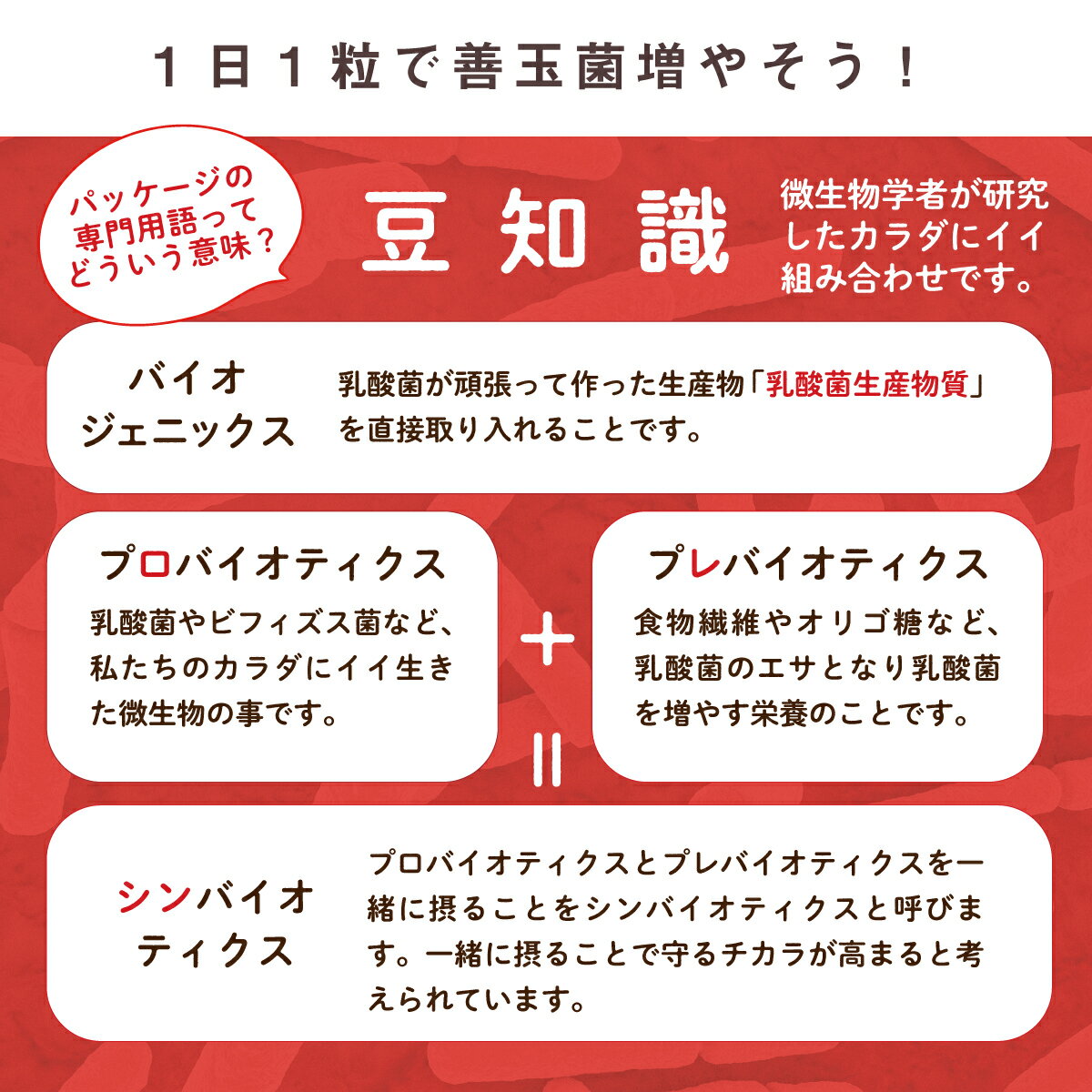 乳酸菌ビフィズス菌サプリちょーまもる60粒サプリメント乳酸菌3兆個ビフィズス菌600億個腸活mhs