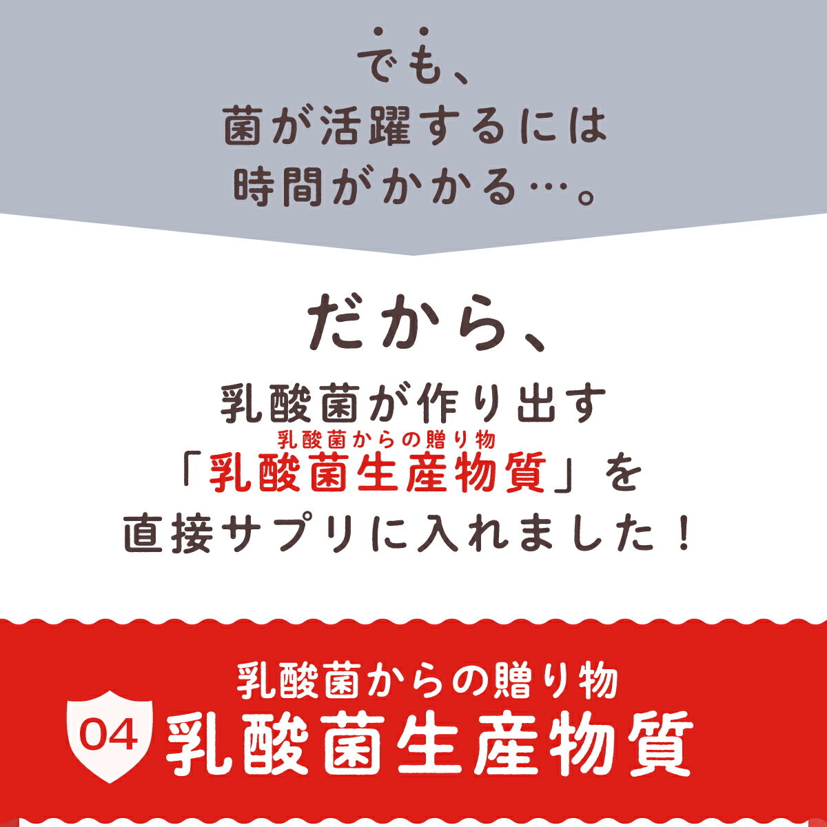 乳酸菌ビフィズス菌サプリちょーまもる60粒サプリメント乳酸菌3兆個ビフィズス菌600億個腸活mhs