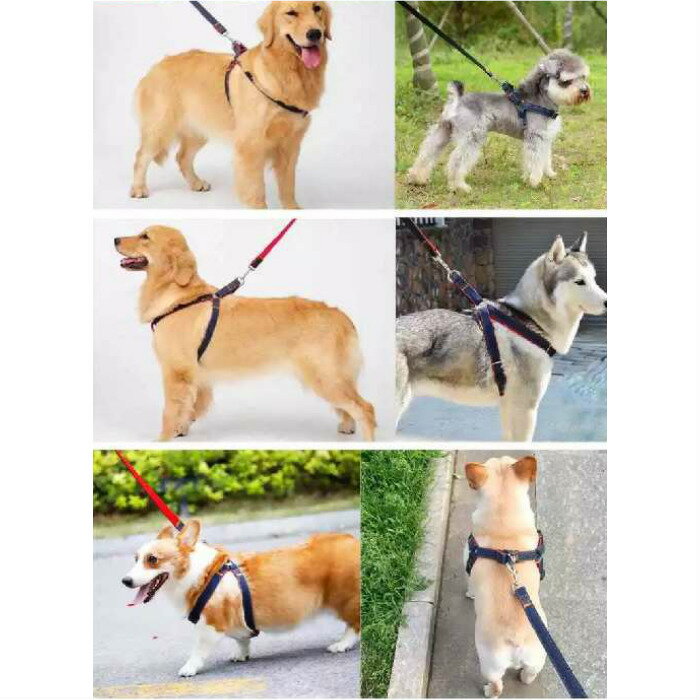 ワンちゃんリード+ハーネスセットデニム風生地【胴輪かわいいかっこいいおしゃれシンプルペット犬超小型小型犬中型犬】【メール便送料無料】