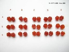 カーネリアン薔薇