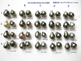 黒蝶真珠ルース