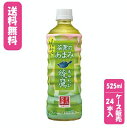 【ケース販売】【送料無料】【代金引換不可】綾鷹 茶葉のあまみ PET 525ml×24本コカ コーラボトラーズジャパンお茶 麦茶 清涼飲料水 熱中症防止 熱中症対策 ケース売り まとめ買い 旨み 渋み うまみ スッキリ 日本茶 国産 お手軽 お徳用 保存