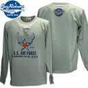 BUZZ RICKSON 039 S（バズリクソンズ）スヌーピーコラボ BR×PEANUTS SNOOPY L/S T-SHIRT『U.S. AIR FORCE』BR69275-148 Sage Green