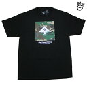 LRG Tシャツ BOXED OUT TEE BLK A201012 ブラック 