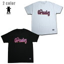 GRIZZLY TVc Stage Dive SS TEE vigr21su76 zCg ubN  y 2021 OY[ TVc / Y TVc /XP[^[ XP{[ XP[g{[h/ Bn / [։ / y z