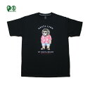 NESTA Tシャツ DRYネスタライオンTEE BLK 212NB1030 ブラック 黒 【 2021 メンズ Tシャツ / ネスタ 半袖 / レゲエ / B系 サーフ / スケーター / ネスタブランド / NESTABRAND / メール便可 / あす楽 】