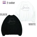 IRIE 長袖Tシャツ IRIE LOGO BIG L/S TEE IRAW22011 ホワイト ブラック【 2022 アイリー lrie Life ロンT / ロゴ / レゲエ / メンズ / 長袖 / ストリート / B系 / スケーター / サーフ / メール便可 / あす楽 】