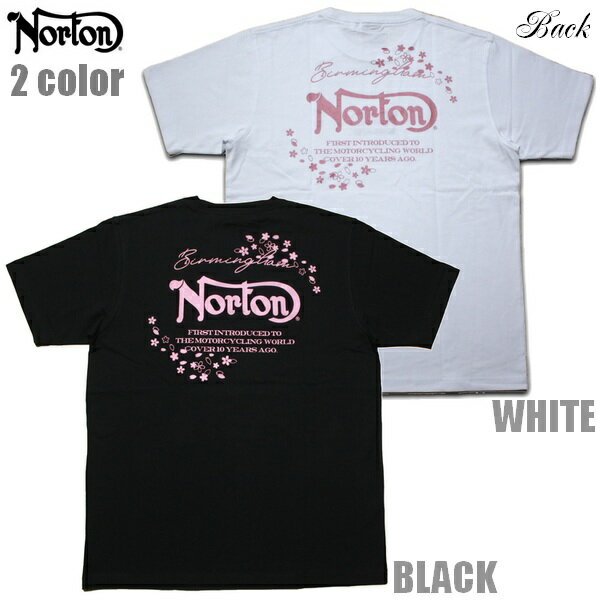 NortonTĥ饷㥤ˡTEE252N1007