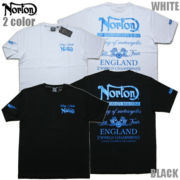 NortonTĥ֥롼ץTEE252N1018