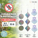 m-mode:10000275のサンプル画像1