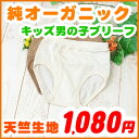 キッズ ブリーフ パンツ 【天竺生地ブリーフパンツ】 90 100 110cm オーガニックコットン 子供 ブリーフパンツ 男児 下着 インナー Kids パンツ アトピー Briefs