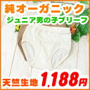 子供 ブリーフ パンツ 【天竺生地ブリーフパンツ】 120 130 140 150cm オーガニックコットン ジュニア ブリーフパンツ 男児 下着 インナー パンツ アトピー Briefs