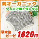 子供 トランクス 【草木染ガーゼトランクスパンツ】 120 130 140 150cm オーガニックコットン ジュニア トランクス 男児 下着 インナー パンツ アトピー TRUNKS