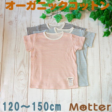 肌着 ジュニア 男の子 半袖肌着 草木染ガーゼ半袖Tシャツ インナーシャツ オーガニックコットン 綿 日本製 小学生 男児 綿100% インナー boy junior underwear inner shirt 120cm 130cm 140cm 150cm