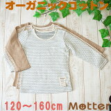 ȩ ˥ λ Ĺµȩ ٤12ĹµT ʡ ˥ååȥ     100 ʡ girl junior underwear inner shirt 120cm 130cm 140cm 150cm