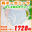 キッズ ブリーフ パンツ 【草木染天竺ボーダーブリーフパンツ】 90 100 110cm オーガニックコットン 子供 ブリーフパンツ 男児 下着 インナー Kids パンツ アトピー Briefs