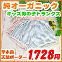 キッズ トランクス 【草木染天竺ボーダートランクスパンツ】 90 100 110cm オーガニックコットン 子供 トランクス 男児 下着 インナー Kids パンツ アトピー TRUNKS