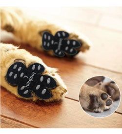 楽天モッピーアンドナナ楽天市場店【LOOBANI Dog Paw Pad Grips 犬用肉球パッド S】　Black 12set（48枚入） 滑り止め　肉球保護　小型犬