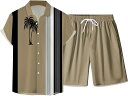 夏 アロハシャツ セットアップ メンズ 半袖シャツ ショートパンツ 夏 速乾通気 軽量 ハワイ風 薄手 ゆったり 涼感 接触冷感 サラサラ快適 夏服 カジュアル...
