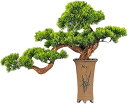 偽物の植物/人工樹木 人工盆栽の松の木、19インチのフェイクの鉢植えの植物、偽の木の鍋の装飾品杉の盆栽の植物、茶室 人工観葉植物