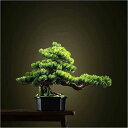 16インチの人工盆栽松、鉢植えの人工観葉植物、禅の庭の装飾、模造人工植物