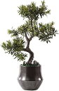 人工鉢植え 人工盆栽 陶器製植木鉢 人工観葉植物 鉢植え 家族 居間兼書斎