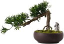 室内装飾用の人工観葉植物 室内の植木鉢の植物の植物の植物の植物の植物屋内と屋外のための陶磁器の鉢植えの盆栽の木の装飾 偽の植物
