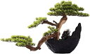 室内装飾用の人工観葉植物 人工盆栽の木 屋内用人工緑盆栽 無垢材 装飾盆栽 樹脂植木鉢付き 家庭、オフィス、デスクの装飾 偽の植物