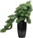 人工観葉植物 人工盆栽の松の木、植物の植物の居間の装飾装飾品、盆栽の緑の植物屋内の家のオフィスのデスクトップの鉢植えの装飾 人工盆栽