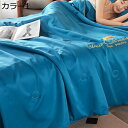 購入15%-30%OFF 夏掛け布団 冷感掛け布団カバ一 カバーセット 春夏秋 柔らかいの手触り 光沢感 シルクみたい艶 無地 静電気防止 着脱簡単 抗菌防臭 ...