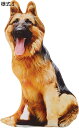 購入15%-30%OFF 抱き枕 クッション 添い寝まくら 犬ぬいぐるみ 本物そっくり 70cm 贈り物 抱き枕 犬 縫い包み 様式3 犬 柔らかい ぬいぐるみ 犬 だきまくら クッション 背当てクッション 大きい 誕生日プレゼント おもちゃ 男の子 女の子 可愛い