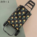 購入25%OFFショッピングキャリー ショッピングカート F 大容量 折りたたみ 軽量 お買い物 キャリーバッグ 2輪キャスター 2way使える キャリーカート 台車 ショッピングバッグ キャリーバッグ カラー1 コンパクト 荷物運び 買い物キャリー 耐久性