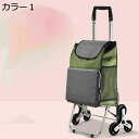 購入25%OFF ショッピングカート 3輪 お買い物カート 階段登れる 軽量 台車 男女兼用 ショッピングキャリー 高齢者 子ども 折り畳み キャリーバッグ F 軽い ショッピングバッグ 耐荷重 バッグ取り外し可 カラー5 運搬 クリスマス 敬老の日 運動会(4)