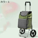 購入15%-30%OFF 老人用 ショッピングカート F キャリーカート ショッピングキャリー 単独使用可 お買い物カート 軽い 折り畳み 2輪 ショッピングバッグ 軽量 静音 階段移動 買い物カート 敬老の日 贈り物 耐荷重 高齢者 カラー3 台車