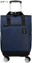 購入15%-30%OFF お買い物カート 4輪ショッピングキャリー 畳める 静音性 カラー2 360度回転 F 4輪 キャスター 高さ調節グリップ ポケットあり 収納便利 キャリーカート 女性 高齢者 荷物運び 便利グッズ 外出 ピクニック アウトドア スーパー 運動会