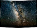 購入15%-30%OFF 星空 森林 タペストリー 壁掛け 壁飾り カラー 壁布 大判布ポスター 模様替え 装飾用品 風景画 インテリア モダン 多機能 200...